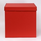 Коробка для воздушных шаров, Красная, 60×60×60 см - Фото 3
