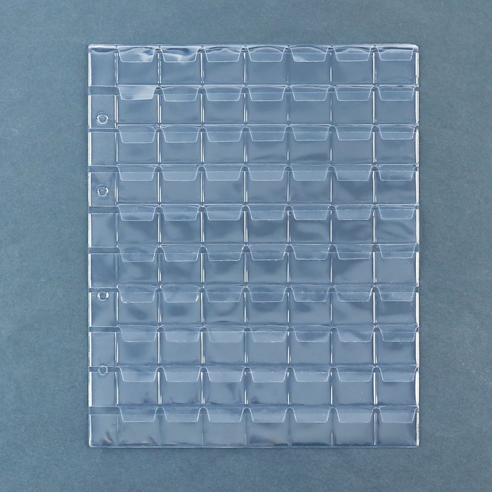 Набор листов для монет, формат "Оптима", 10 листов 200 х 250 мм, на 70 ячеек 23 х 23 мм - Фото 1