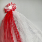 Набор на капот свадебного авто "Фата + 3 банта" красный - фото 24536380