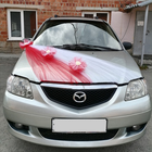 Набор на капот свадебного авто "Фата + 3 банта" красный - фото 24536382