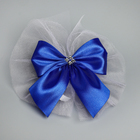 Набор на авто "№12" кольца на крышу, лента с бантом на радиатор, 4 банта на ручки, синий - фото 24536397