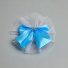 Набор на авто "Гостевой" лента углом на капот, 4 банта на ручки, бирюза - фото 24536408