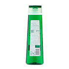 Шампунь для мужчин ЧИСТАЯ ЛИНИЯ с перечной мятой и кофеином, 400 мл - Фото 2