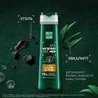 Шампунь для мужчин против перхоти ЧИСТАЯ ЛИНИЯ с эвкалиптом и углем, 400 мл - Фото 1