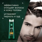 Шампунь для мужчин против перхоти ЧИСТАЯ ЛИНИЯ с эвкалиптом и углем, 400 мл - Фото 3