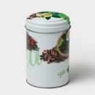 Банка для сыпучих продуктов «Сканди Чай зеленый», 1,1 л, d=9,9 см, h=14,5 см, жесть, цвет зелёный - фото 4464838