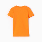 Футболка для мальчика, цвет оранжевый, рост 74 см - Фото 4