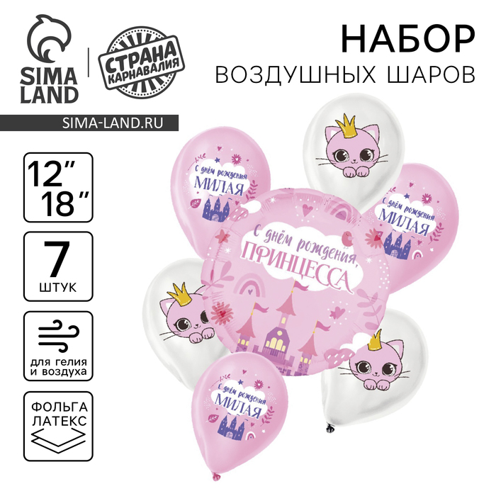 

Набор воздушных шаров «С днём рождения, принцесса», латекс, фольга, 7 шт., МИКС