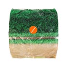 Семена газонной травы "Зеленый уголок","Ремонтный", 0,75 кг - фото 25282708