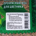 Семена газонной травы "Зеленый уголок","Ремонтный", 2,5 кг - Фото 3