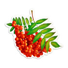 Набор украшений на скотче "Здравствуй, школа!" 45,2 х 31,2 см - фото 24512608