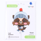 Воздушный шар фольгированный 25" «Енот», фигура 10597539