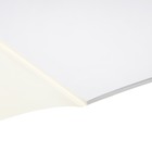 Альбом для черчения А4, 20 листов на склейке, 160г/м2 - фото 24528880