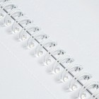 Альбом для черчения А4, 40 листов на гребне, 160г/м2 - фото 24528890