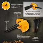 Воздуходувка электрическая ТУНДРА, функция всасывания, 800 Вт, 13000 об/мин, 138 м3/час 9930557 - фото 16464942