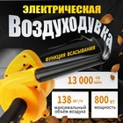 Воздуходувка электрическая ТУНДРА, функция всасывания, 800 Вт, 13000 об/мин, 138 м3/час 9930557 - фото 12580908