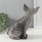 Фигурка "Котенок Сфинкс" 22 х 10 х 21 см. 10469891