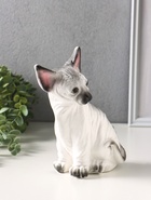 Копилка для денег «Котенок Сфинкс», 22×10×21 см - Фото 8