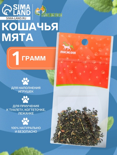 Кошачья мята «Пижон», 1 г