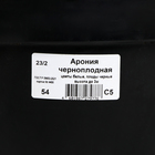 Арония черноплодная, C5 горшок , 1 шт, Осень 2024 - фото 25408715