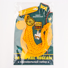 Набор военного «На парад победы»: аксельбант, значок, цвет золотой - Фото 12