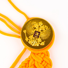 Набор военного «На парад победы»: аксельбант, значок, цвет золотой - Фото 9