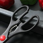 Ножницы кухонные Доляна «Помощник», 20 см, с открывалкой для бутылки, цвет чёрный - фото 4546234
