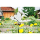 Декор садовый "Бабочка", светящийся в темноте, штекер 52 см, микс цвета - Фото 9