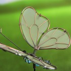 Декор садовый "Бабочка", светящийся в темноте, штекер 52 см, микс цвета - Фото 4