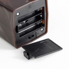 Лава-лампа «Мишка» LED 2 Вт от батареек 3хАА коричневый 7×7×24 см - Фото 10