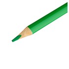 Карандаши 12 цветов Мульти-Пульти "Друзья енота", трёхгранные, заточенные, в тубусе (комплект 5 шт) - фото 24492059