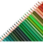 Карандаши 80 цветов, Carioca "Tita", дерево, шестигранные, грифель 3 мм, яркие, устойчивый к падениям - фото 24557184