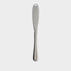 Нож для масла из нержавеющей стали, длина 22 см, цвет серебряный - фото 321744487