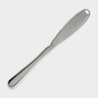 Нож для масла из нержавеющей стали, длина 22 см, цвет серебряный - фото 4465753