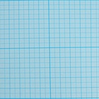 Бумага масштабно-координатная А4, 20 листов на склейке - фото 24529616