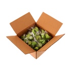 Печенье с предсказанием зелёное, 30 шт - фото 24512905