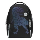 Рюкзак школьный, 38 х 29 х 16 см, Grizzly, эргономичная спинка, чёрный/зелёный - фото 24557335