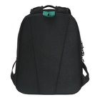 Рюкзак школьный, 38 х 29 х 16 см, Grizzly, эргономичная спинка, чёрный/зелёный - фото 24557338