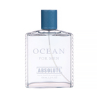 Туалетная вода мужская Absolute Ocean (по мотивам Aqua Pour Homme), 100 мл - Фото 2