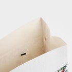 Пакет - коробка «Дедушка Мороз», 23 х 18 х 11 см, Новый год - Фото 4