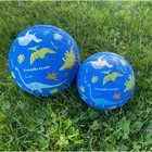 Мяч Crocodile Creek «Динозавры», цвет голубой, 18 см - Фото 2