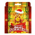 Растущая трава в открытке "Трава-богатейка" - Фото 2