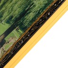 Картина "Прекрасный день" 60*100 см - фото 24504456