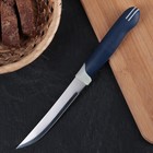 Нож для мяса и стейков «Страйп», зубчатое лезвие 11,5 см - Фото 1