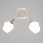 Люстра "Ава" 2хЕ27 40Вт бело-хромовый 45х26х27 см BayerLux - фото 24557889