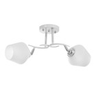 Люстра "Ава" 2хЕ27 40Вт бело-хромовый 45х26х27 см BayerLux - фото 24557891