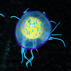 Декор для аквариума "Медуза", силиконовая, с неоновым эффектом, 6,5 х 6,5 х 11,5 см, синяя   1006961 - фото 11354151