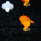 Декор для аквариума "Морской конёк" силиконовый, с неоновым эффектом, 2 х 4 х 10 см, оранжев   10069 - фото 24504727