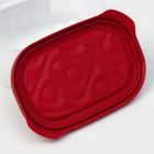 Контейнер пластиковый с крышкой Flexo, 0,65 л, цвет красный - фото 4508954