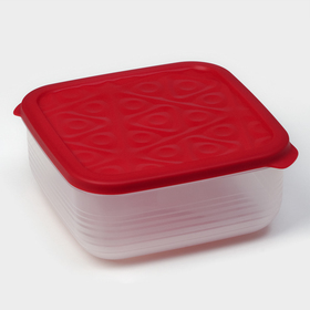 Контейнер пластиковый с крышкой Flexo, 2,7 л, цвет красный